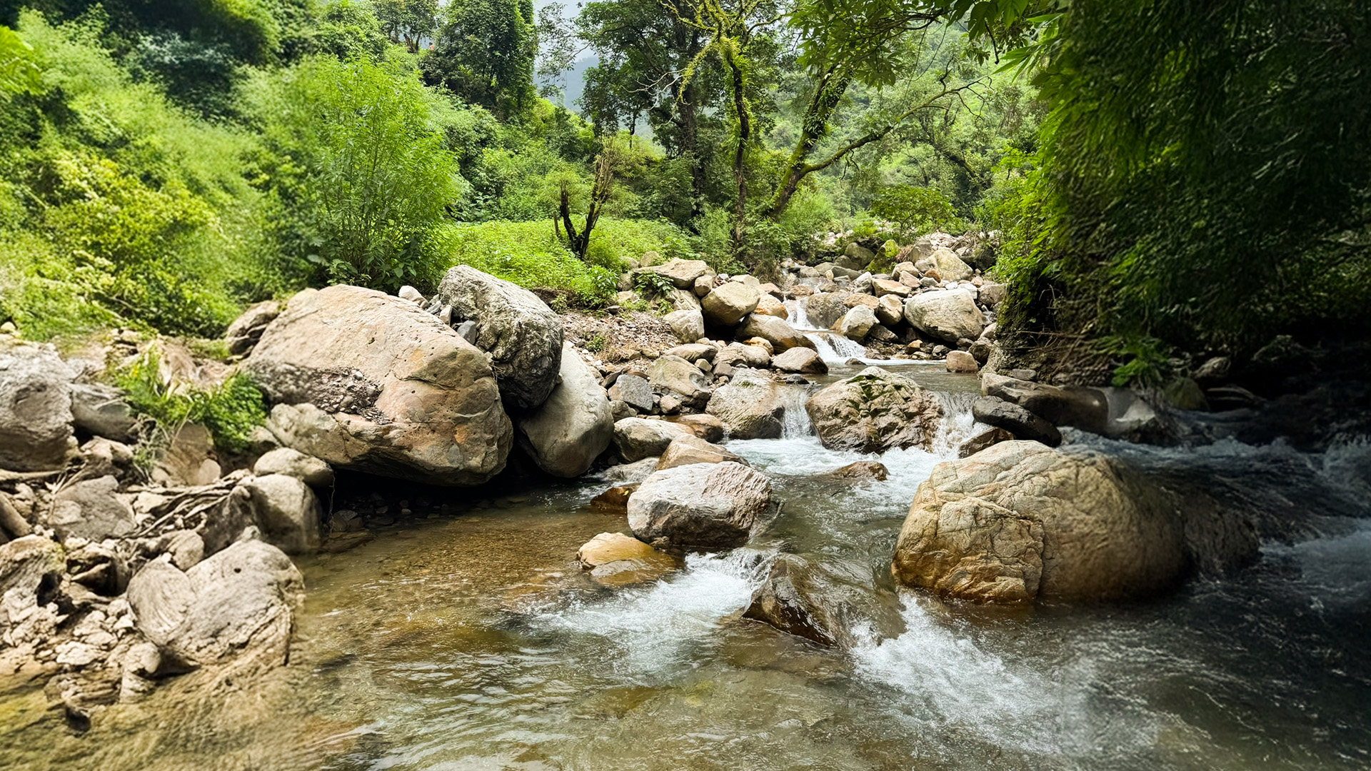 Private River Stream