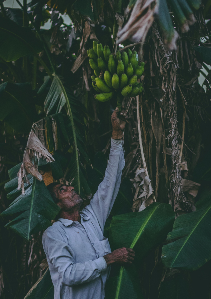Organic Farming