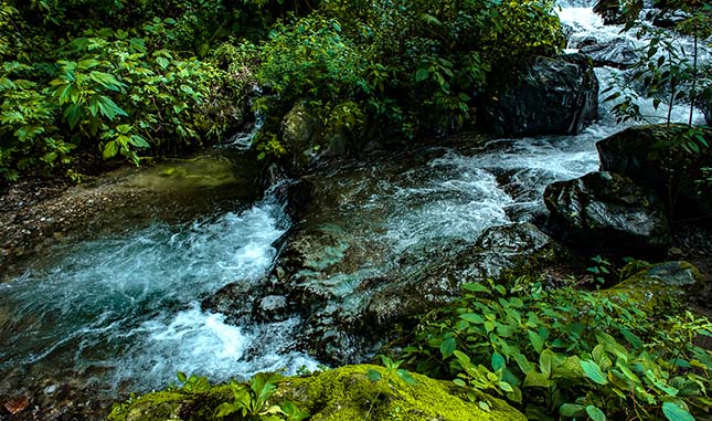 natural-water-stream